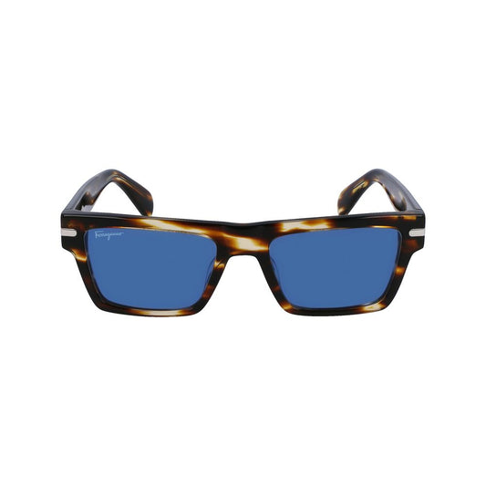 Brown Acetate Sunglasses