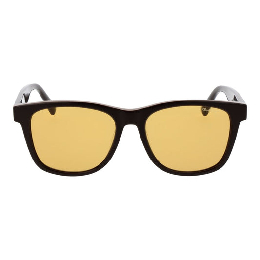 Brown Acetate Sunglasses